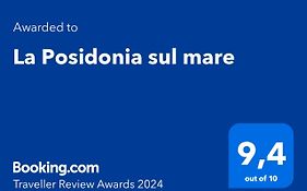 La Posidonia sul mare